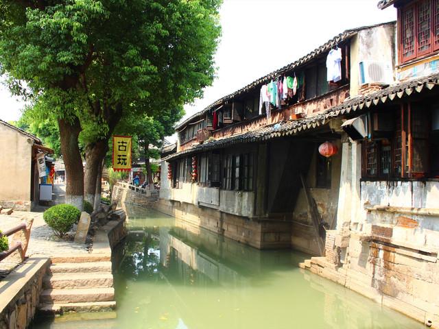 辛芷蕾明明出道很多年了，为什么她到三十多岁了才火起来？游戏画面